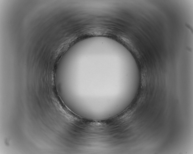 X0000101410453200807071010