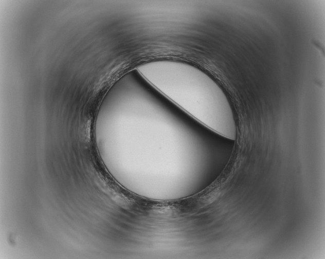 X0000101410454200807071010