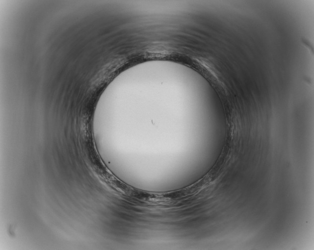 X0000101410455200807071010