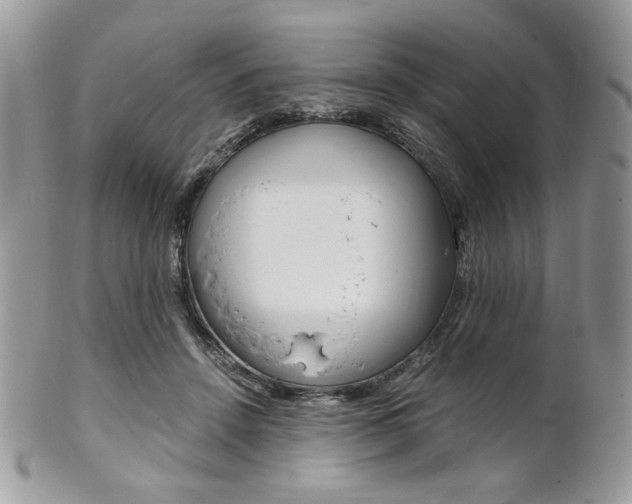 X0000101410456200807071010