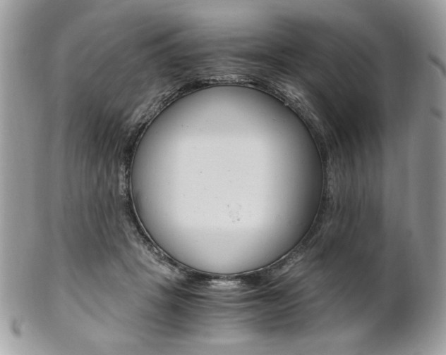 X0000101410457200807071010