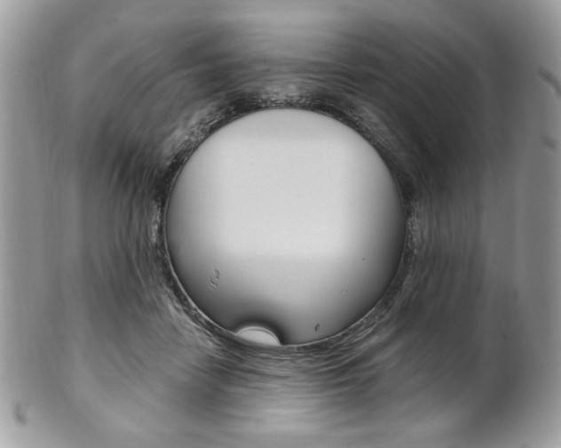 X0000101410458200807071010