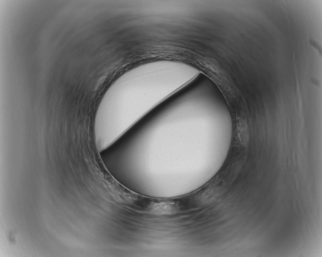 X0000101410461200807071010