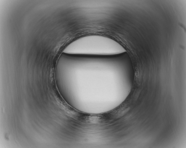 X0000101410462200807071010