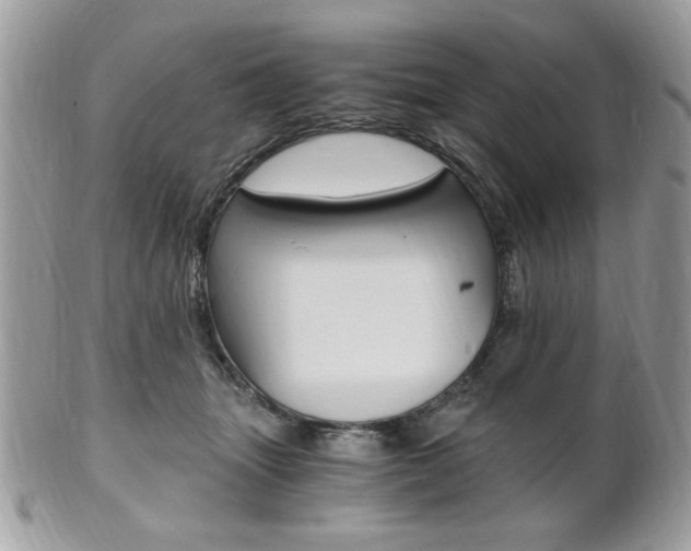 X0000101410463200807071010
