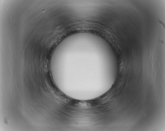 X0000101410464200807071010