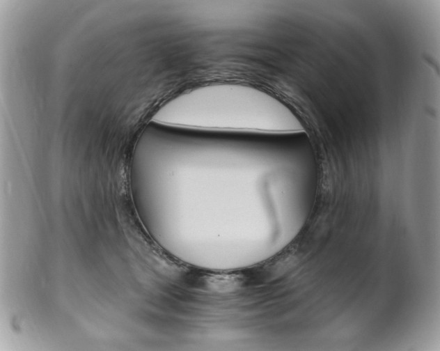 X0000101410465200807071010