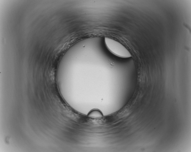 X0000101410466200807071010