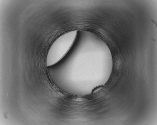X0000101410467200807071010