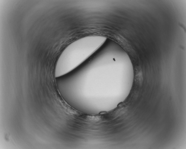 X0000101410469200807071010