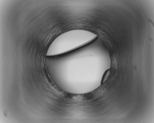 X0000101410470200807071010
