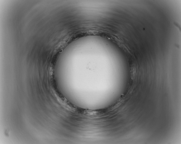X0000101410472200807071010