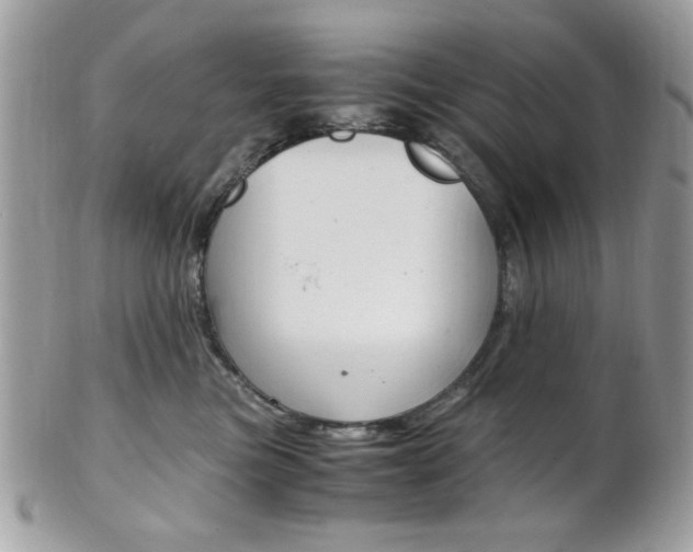X0000101410473200807071010