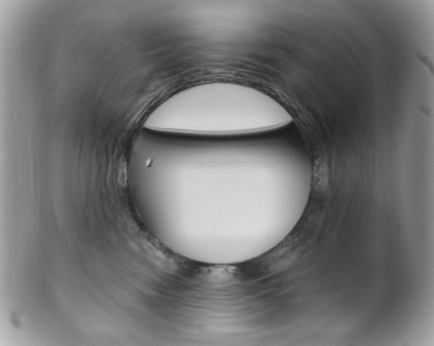 X0000101410474200807071011