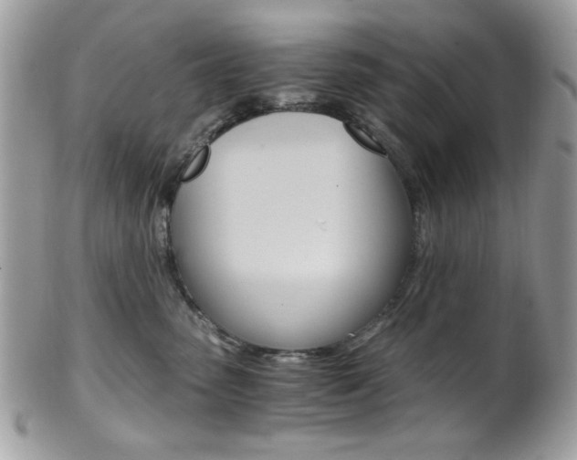 X0000101410475200807071011