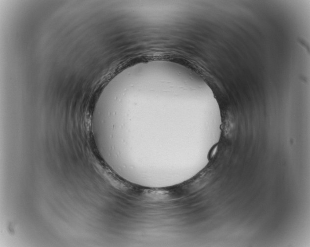 X0000101410476200807071011
