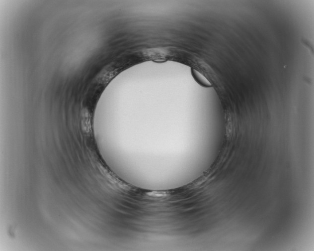 X0000101410477200807071011