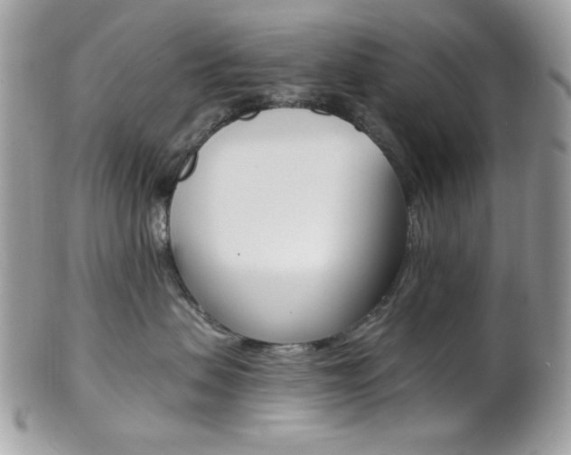 X0000101410479200807071011