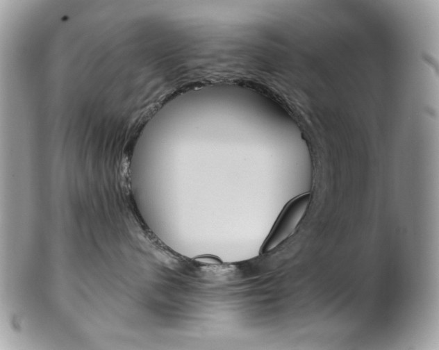 X0000101410480200807071011