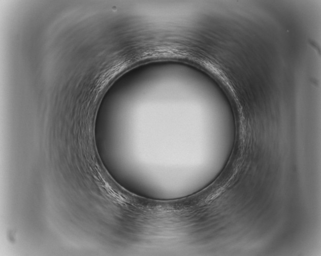 X0000101410481200807071010