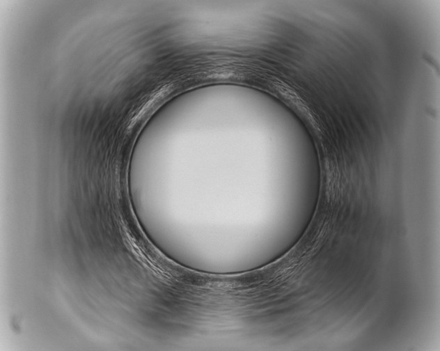 X0000101410482200807071010