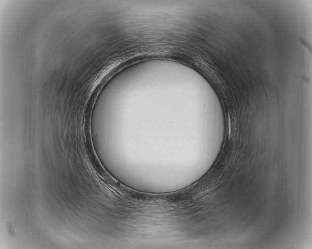 X0000101410483200807071010