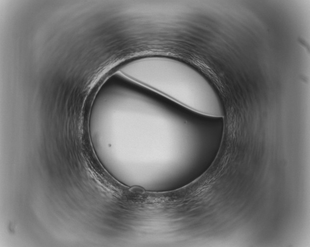 X0000101410484200807071010