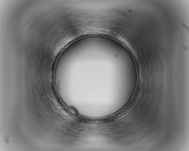 X0000101410485200807071010