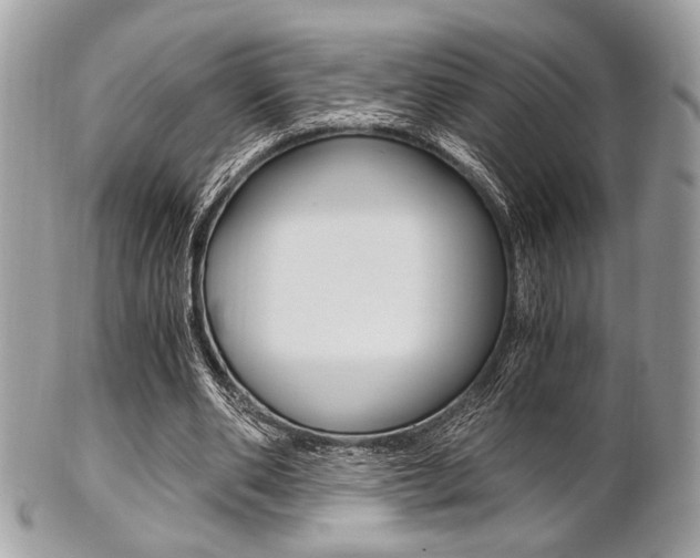 X0000101410486200807071010