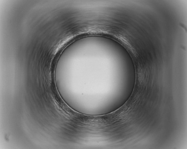 X0000101410488200807071010