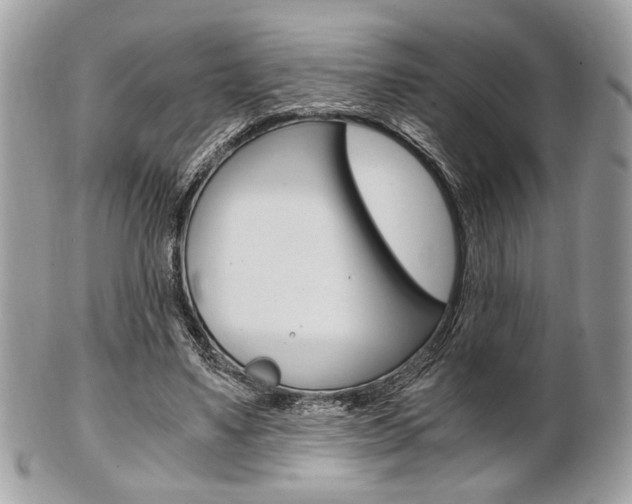 X0000101410491200807071010