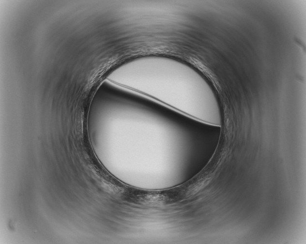 X0000101410493200807071010