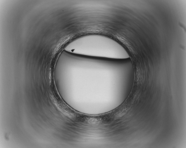 X0000101410494200807071010