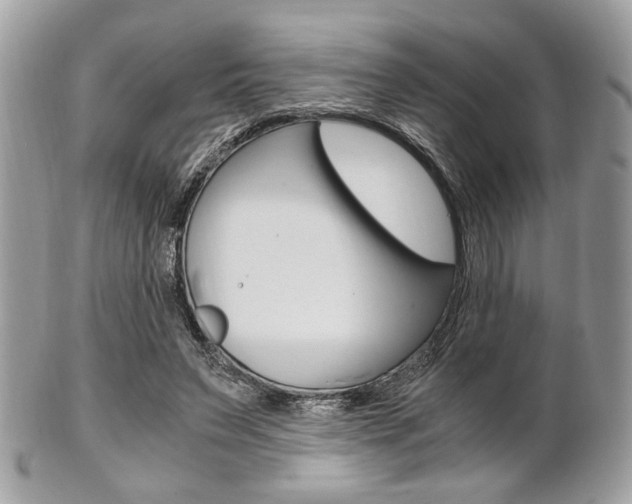 X0000101410495200807071010