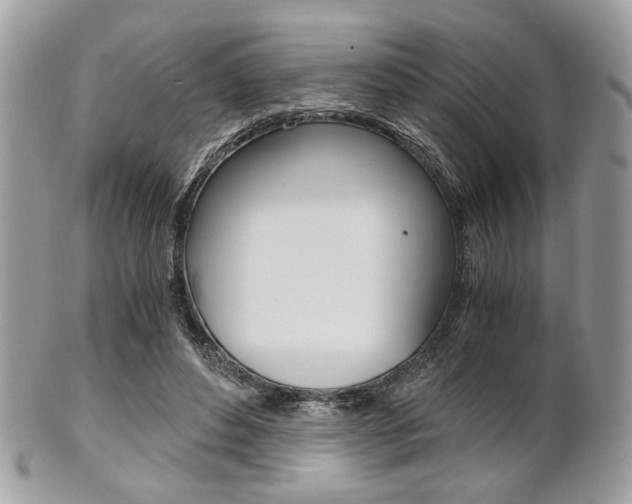 X0000101410496200807071010