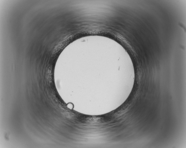 X0000101410497200807071010