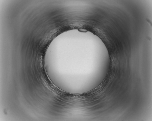 X0000101410498200807071010