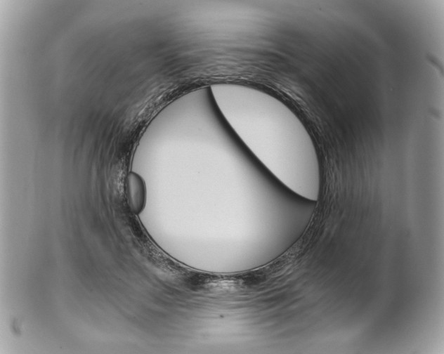 X0000101410499200807071010