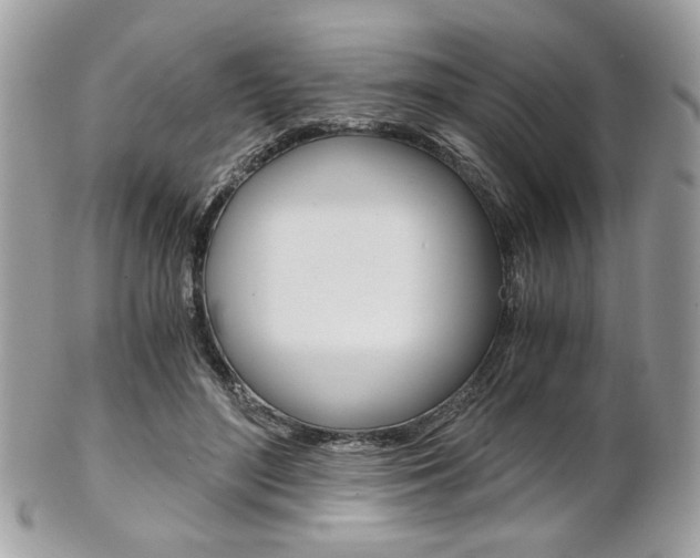 X0000101410500200807071010