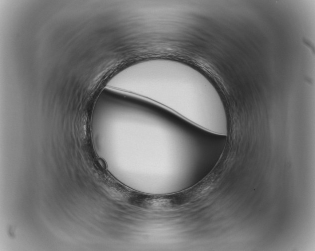 X0000101410501200807071010