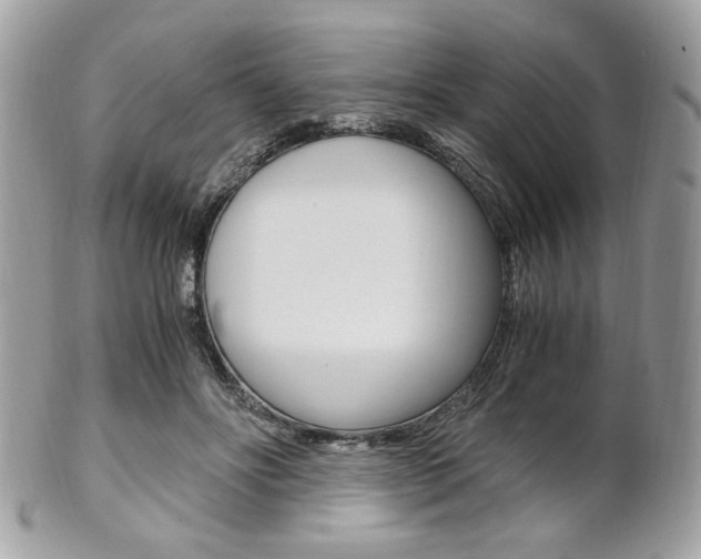 X0000101410502200807071010