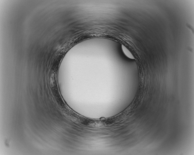 X0000101410503200807071010