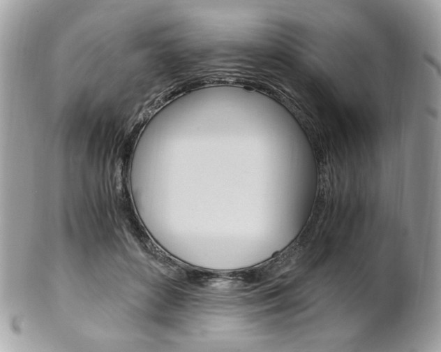 X0000101410504200807071010