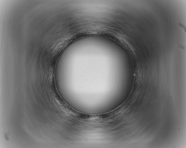 X0000101410505200807071010