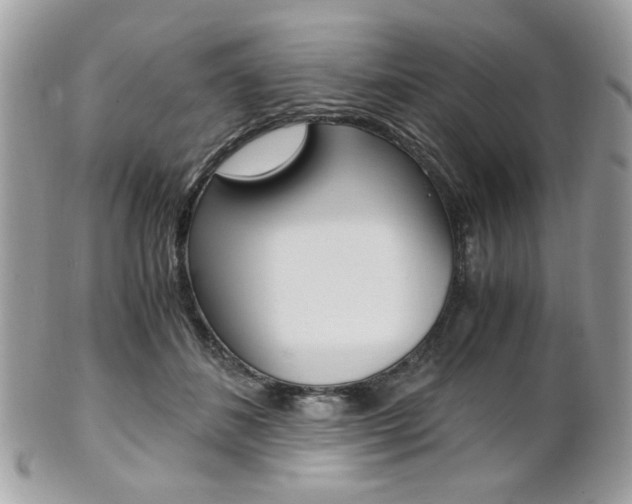 X0000101410508200807071009