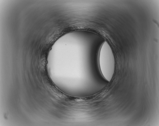 X0000101410509200807071009