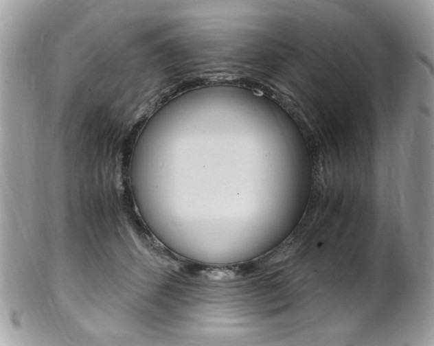 X0000101410512200807071009