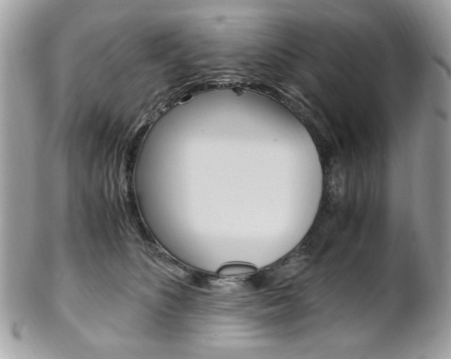 X0000101410516200807071009