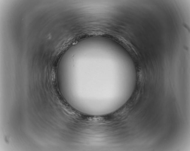 X0000101410517200807071009