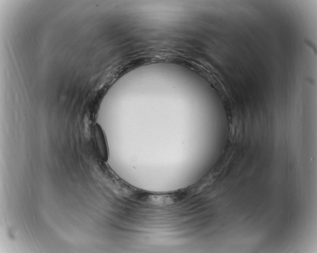 X0000101410520200807071009